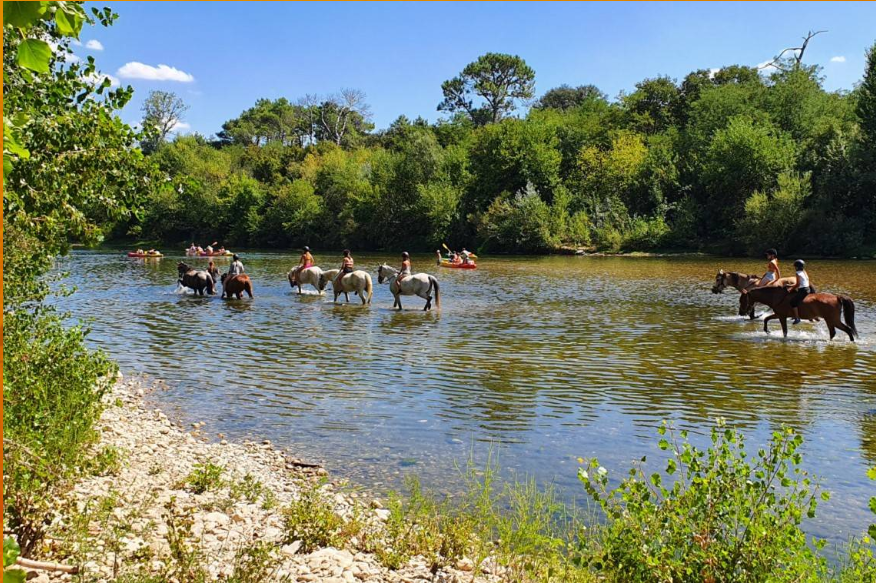  Balade à Cheval à Avignon et alentour