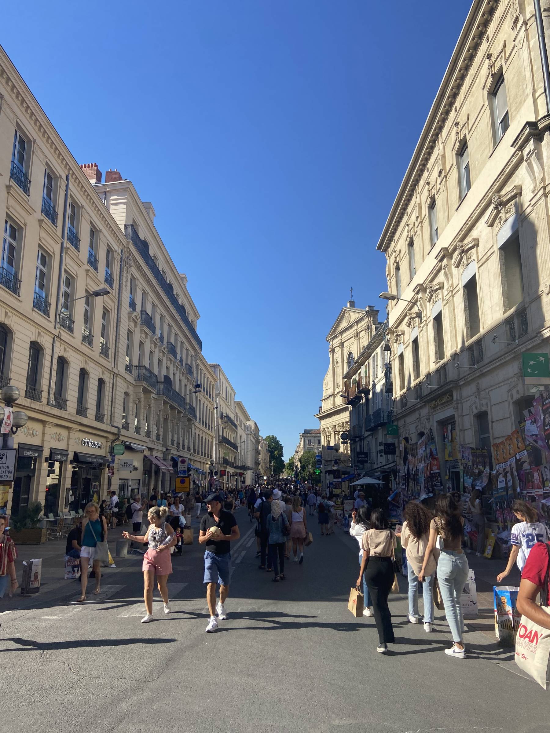 La RUE DE LA REPUBLIQUE  AVIGNON CENTRE