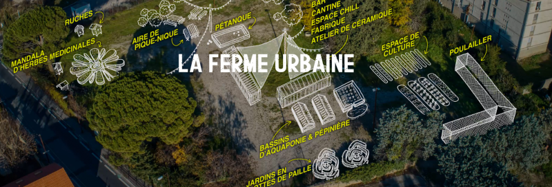 Tipi ferme urbaine