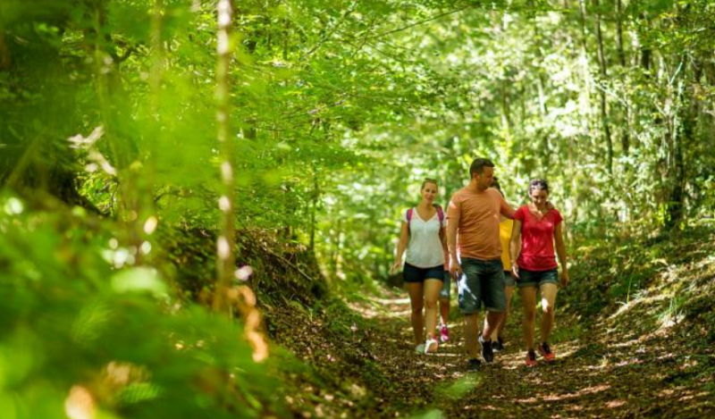 Week-end nature à Avignon