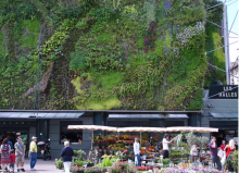 Les Halles d'Avignon 